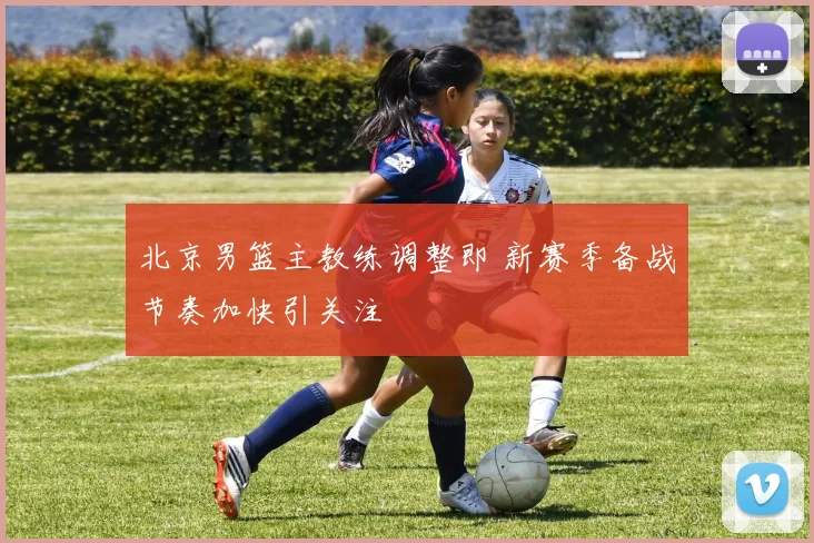 北京男篮主教练调整即 新赛季备战节奏加快引关注