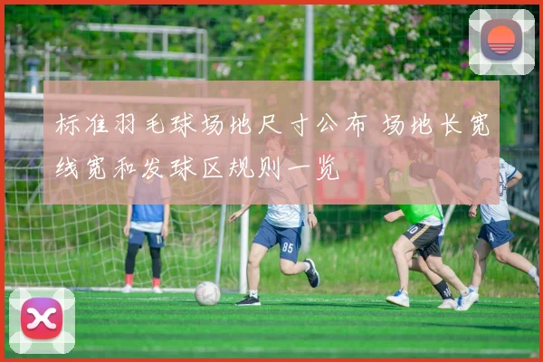 标准羽毛球场地尺寸公布 场地长宽线宽和发球区规则一览