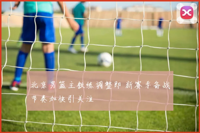 北京男篮主教练调整即 新赛季备战节奏加快引关注