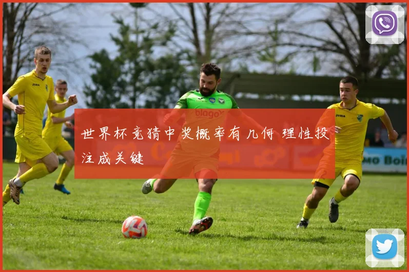 世界杯竞猜中奖概率有几何 理性投注成关键