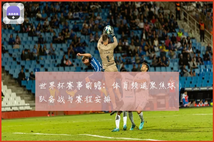 世界杯赛事前瞻：体育频道聚焦球队备战与赛程安排